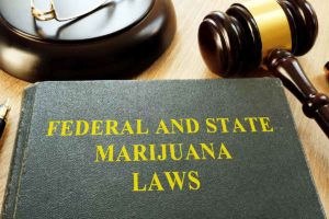 Medical marijuana laws