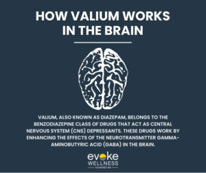 How Valium works in the brain