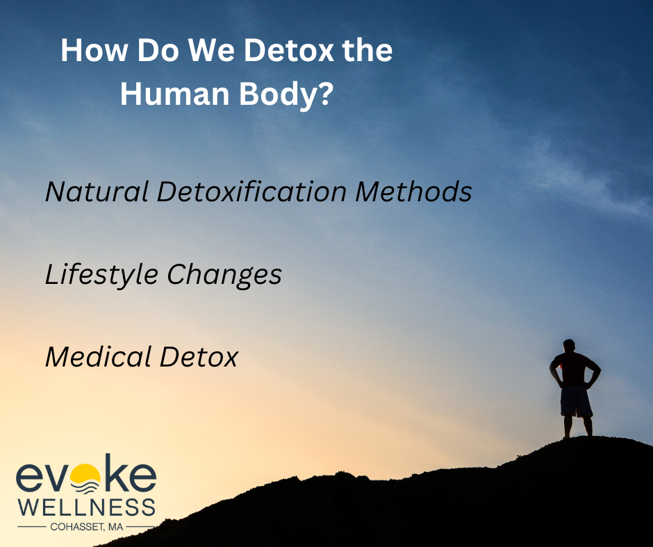 How Do We Detox the Human Body